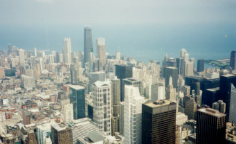 �V�J�S�̃r���S