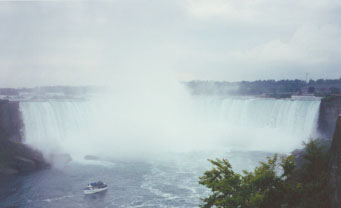 �i�C�A�K���̑�